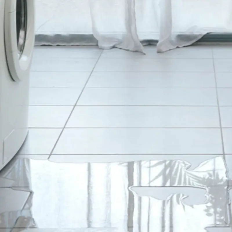 Appliance Leak Cleanup in Warren, AR