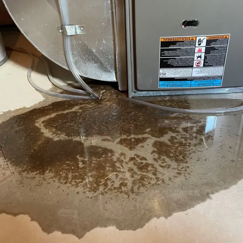 Pipe Burst and Leak Restoration in Warren, AR